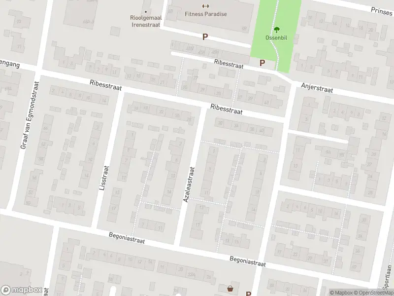 Ambulance met gepaste spoed naar de Azaleastraat in Oud-Beijerland