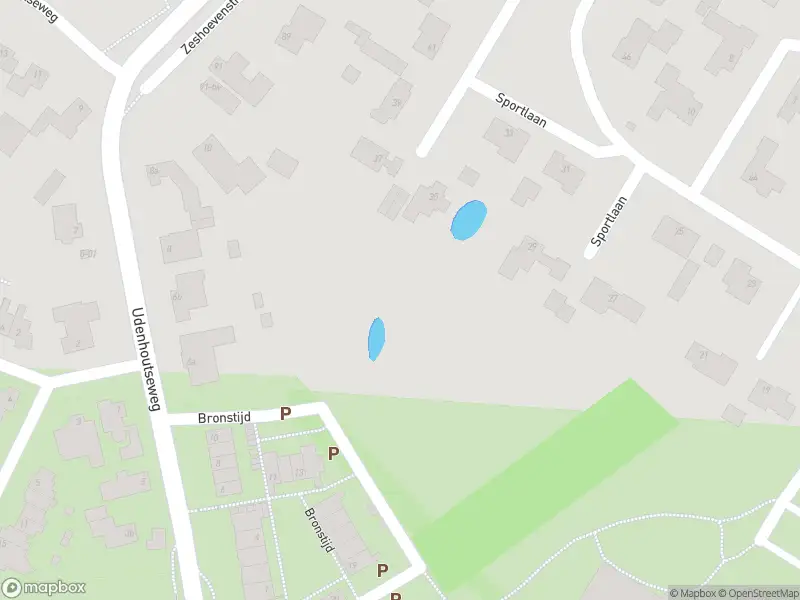 Overlastmelding Tongerloplein in Udenhout