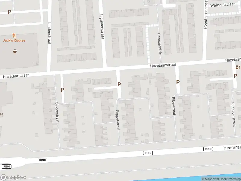 Ambulance met gepaste spoed naar de Peppelstraat in Spijkenisse