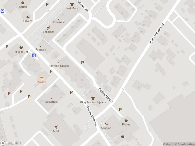 Overlastmelding Pasteurstraat in Dieren