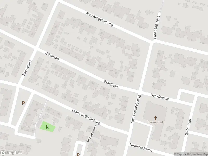 Overlastmelding Nico Bergsteijnweg in Woudenberg