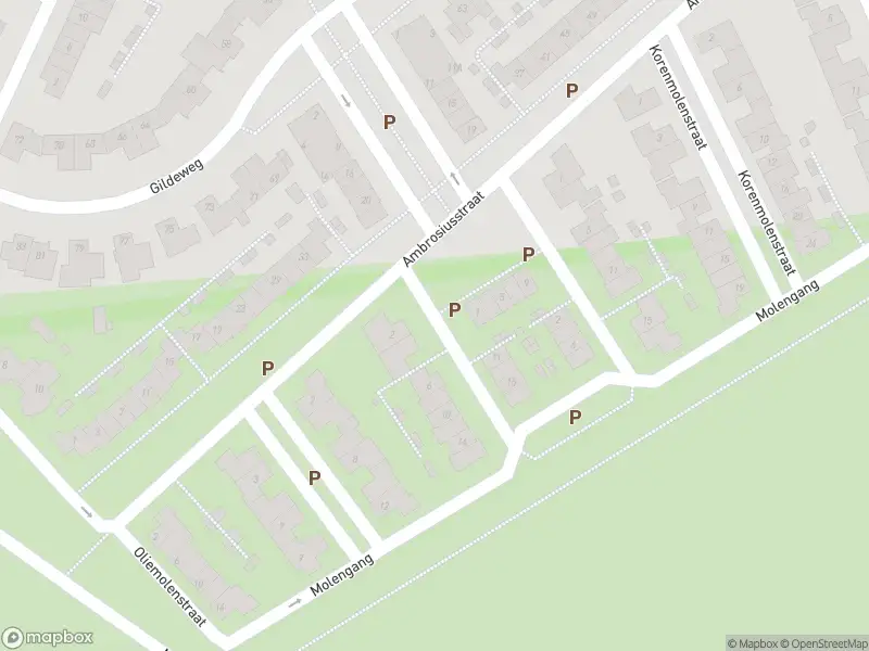 Overlastmelding Bergmolenstraat in Loon op Zand