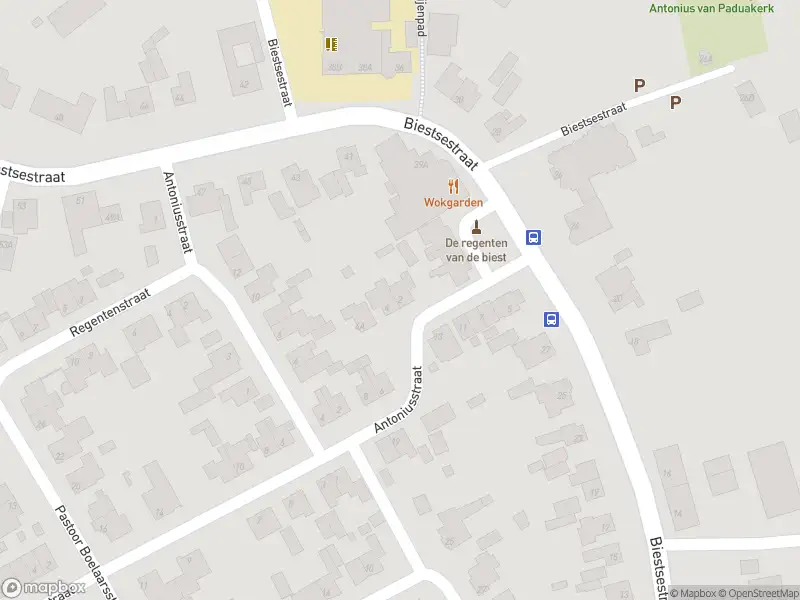 Overlastmelding Antoniusstraat in Biest-Houtakker