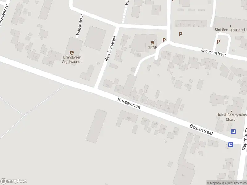 Overlastmelding Bossestraat in Vogelwaarde