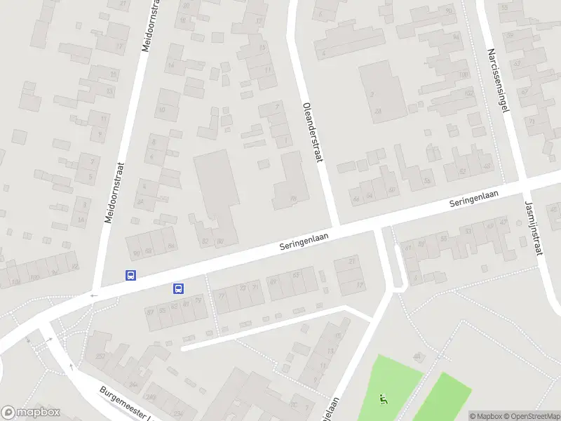 Overlastmelding Seringenlaan in Geleen