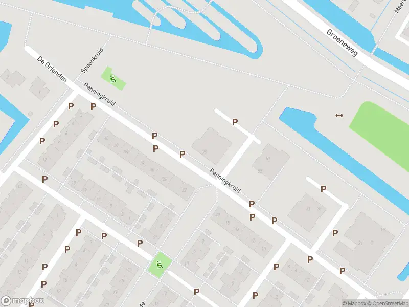 Overlastmelding Penningkruid in Puttershoek