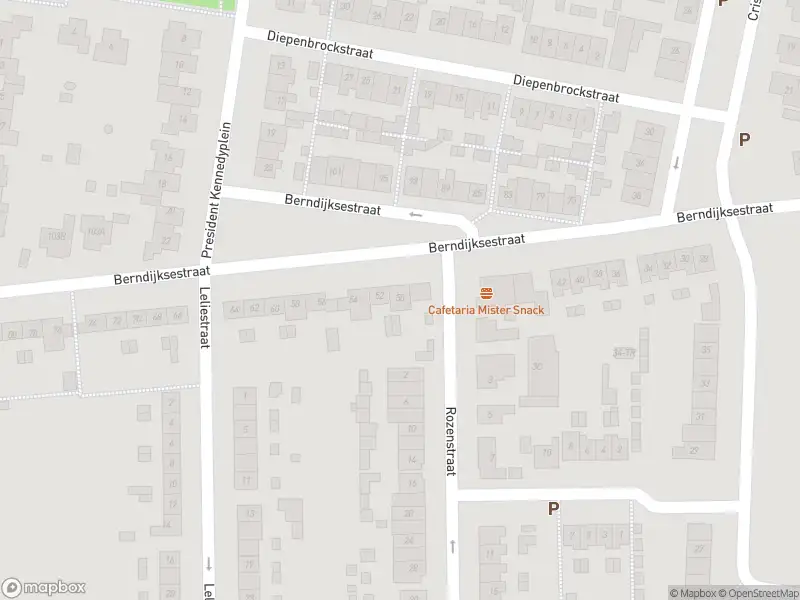 Overlastmelding Magnoliastraat in Kaatsheuvel gesloten