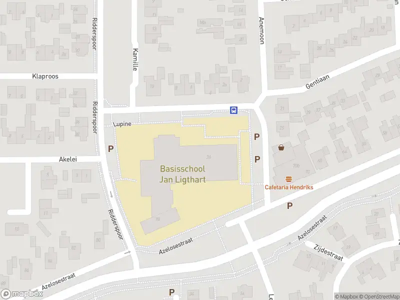 Brandweer met grote spoed naar de Oonksweg in Borne vanwege gebouwbrand