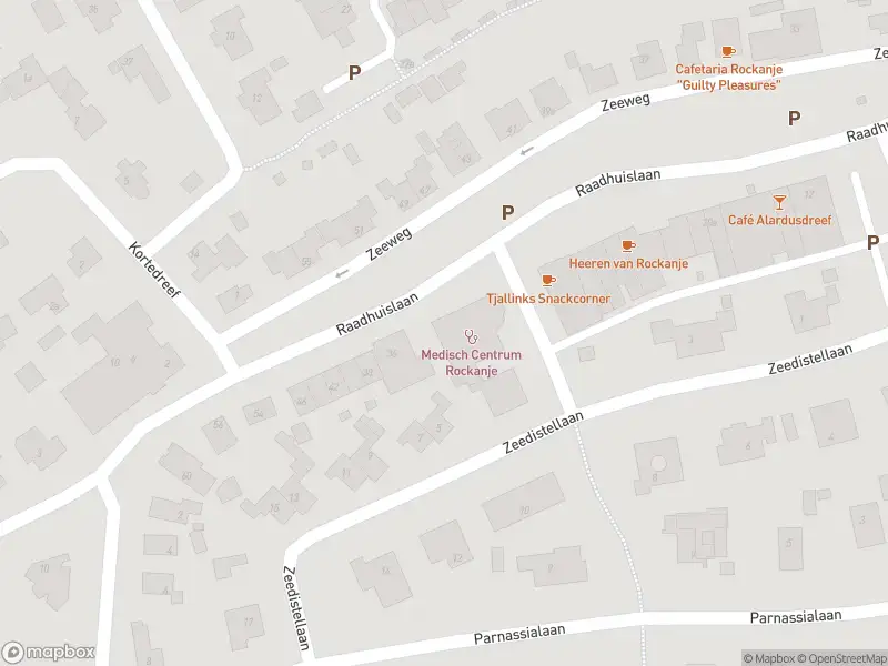 Ambulance met grote spoed naar de Duindoornlaan in Rockanje