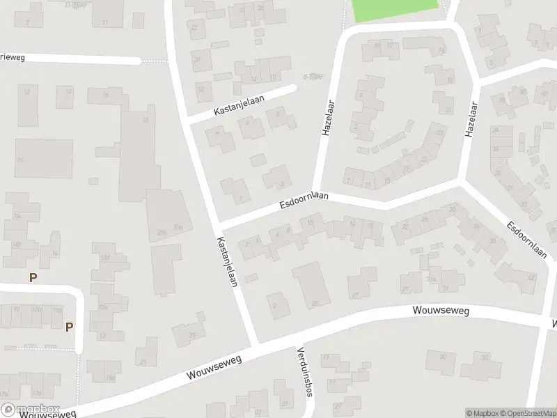 Politie met gepaste spoed naar de Esdoornlaan in Halsteren vanwege letsel