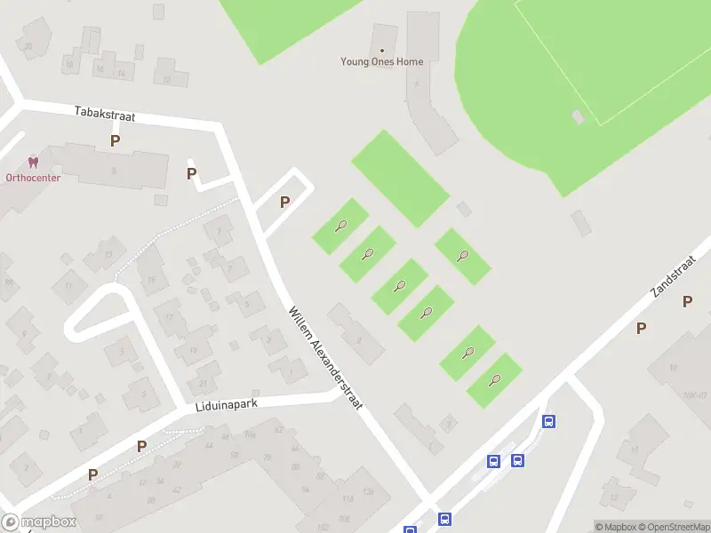 Overlastmelding Willem-Alexanderstraat in Hulst gesloten