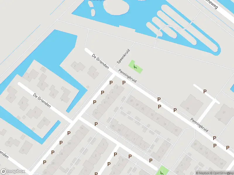 Overlastmelding Penningkruid in Puttershoek