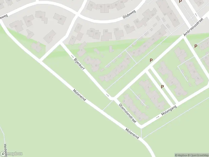 Overlastmelding Ambrosiusstraat in Loon op Zand