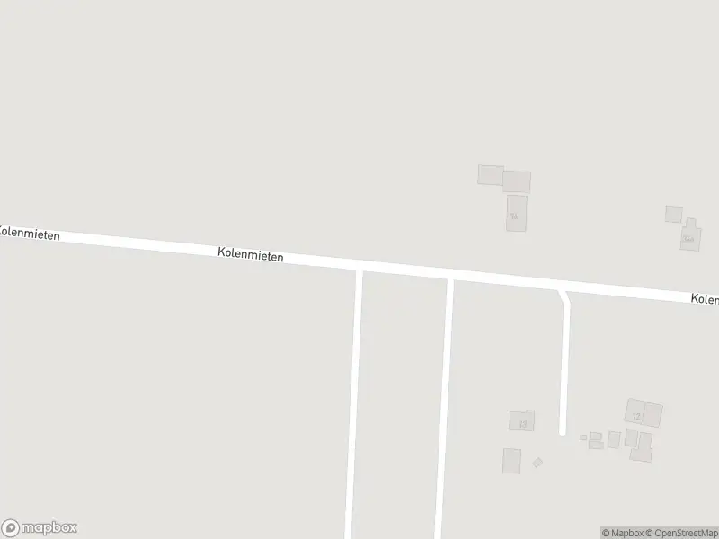 Brandweer met gepaste spoed naar de Kolenmieten in Geerdijk