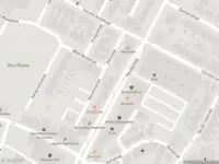 Ambulance met gepaste spoed naar de Plantageweg in Alblasserdam