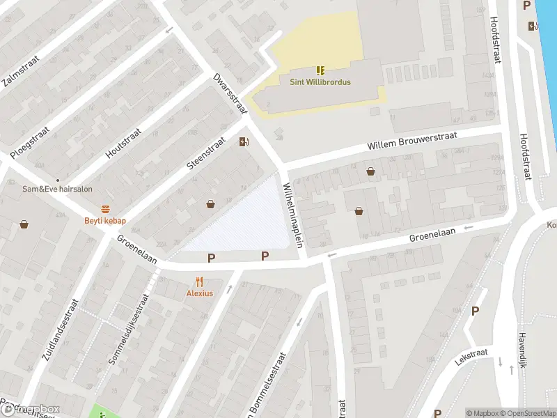 Politie naar de Wilhelminaplein in Schiedam vanwege dier(en) in nood