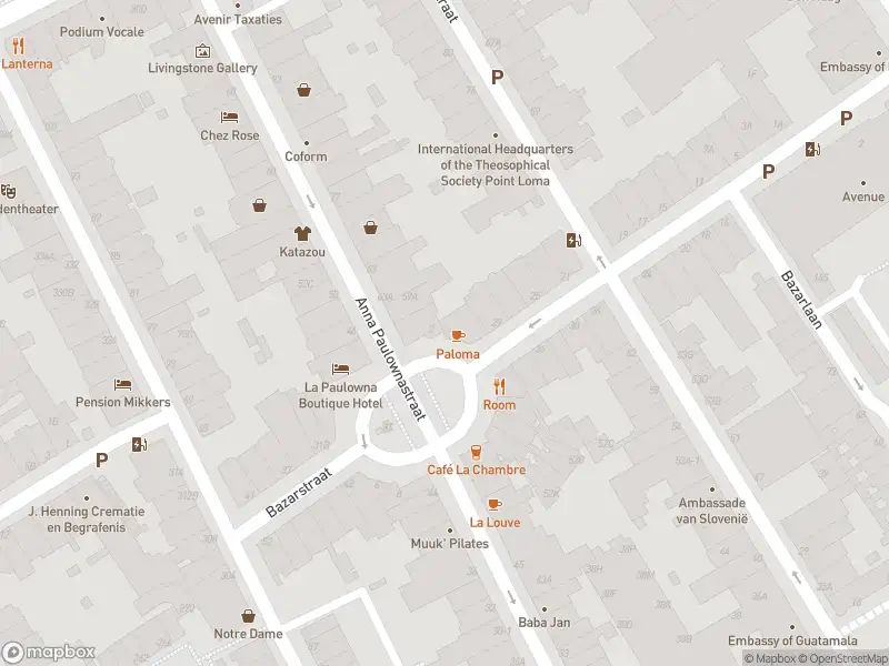 Ambulance met gepaste spoed naar de Anna Paulownaplein in 's-Gravenhage