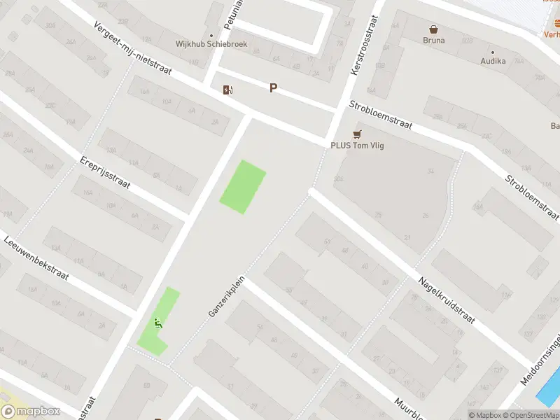 Ambulance met grote spoed naar de Ganzerikplein in Rotterdam