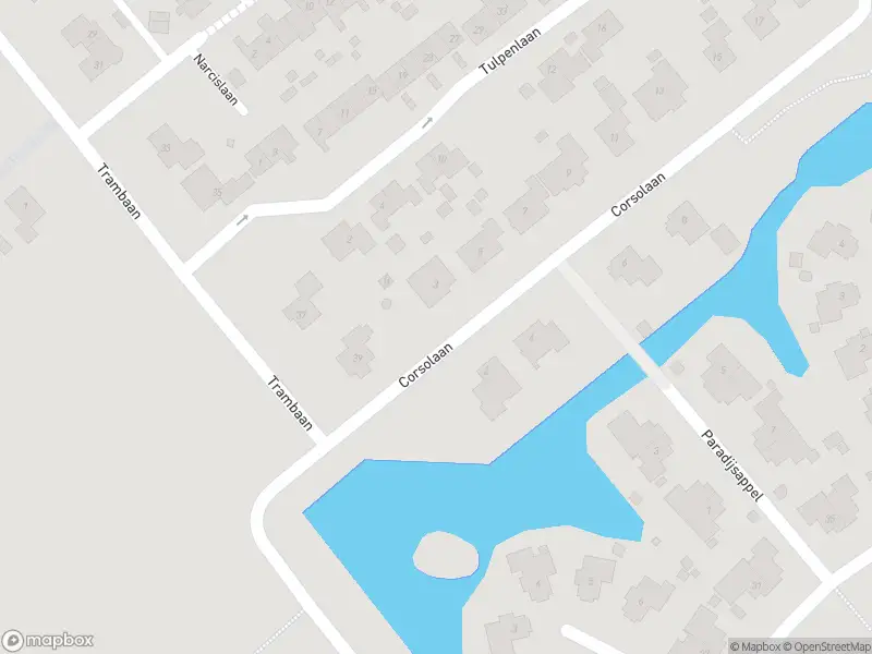 Overlastmelding Corsolaan in Winkel