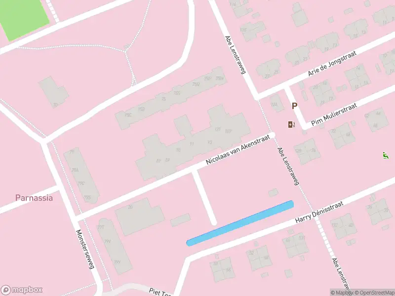 Ambulance met gepaste spoed naar de Nicolaas van Akenstraat in 's-Gravenhage