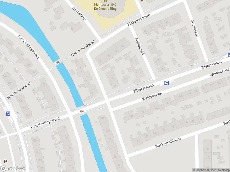 Overlastmelding Pinksterbloem in Duiven