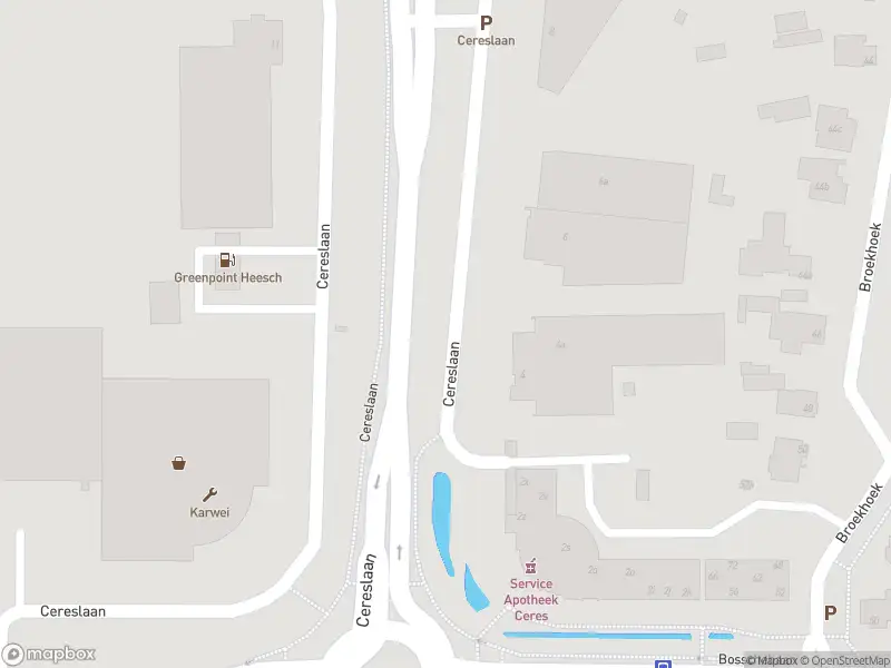 Politie naar de Cereslaan in Heesch vanwege ongeval met letsel