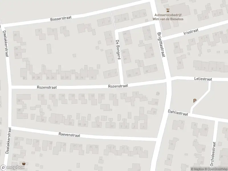 Ambulance met gepaste spoed naar de Rozenstraat in Ittervoort