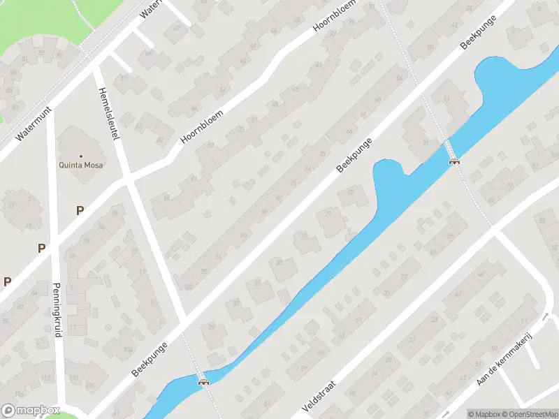 Brandweer met gepaste spoed naar de Beekpunge in Tegelen vanwege wateroverlast