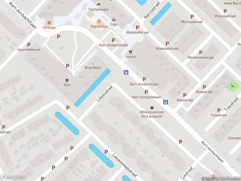 Ambulance met gepaste spoed naar de Anjerstraat in Zwijndrecht