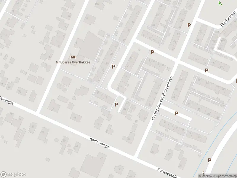 Ambulance met gepaste spoed naar de Frank van Borselenstraat in Nieuwe-Tonge