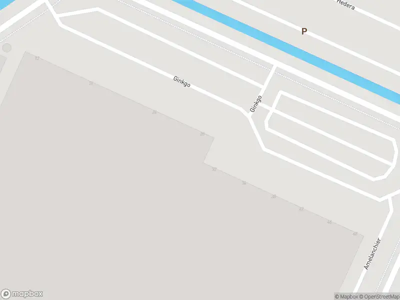 Ambulance met grote spoed naar de Ginkgo in De Kwakel