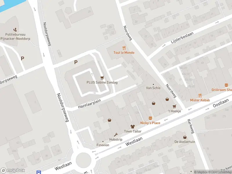 Ambulance met gepaste spoed naar de Hazelaarplein in Pijnacker