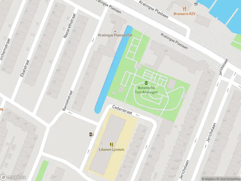 Ambulance met grote spoed naar de Cederstraat in Rotterdam