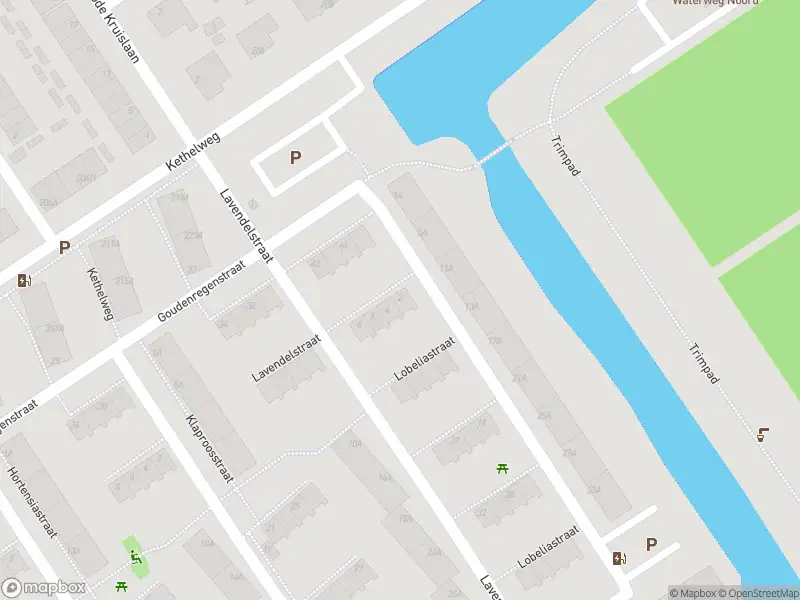 Ambulance met gepaste spoed naar de Lobeliastraat in Vlaardingen