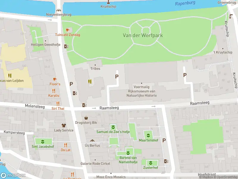 Ambulance met gepaste spoed naar de Molensteeg in Leiden