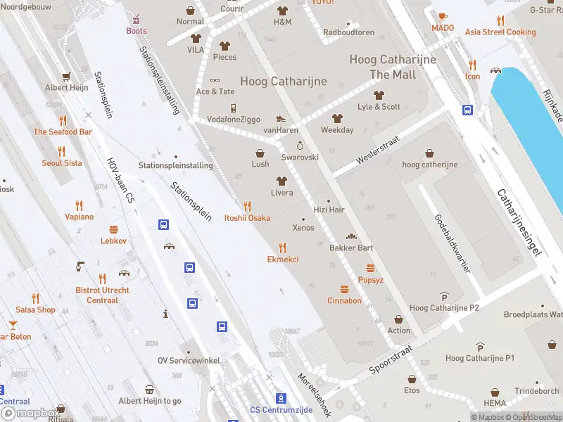 Politie naar de Stationsplein in Utrecht