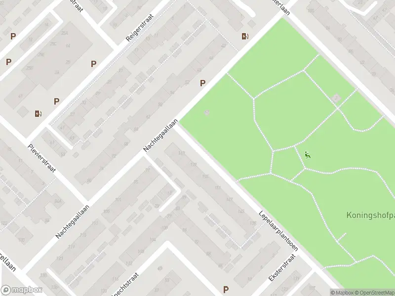 Overlastmelding Nachtegaallaan in Maassluis