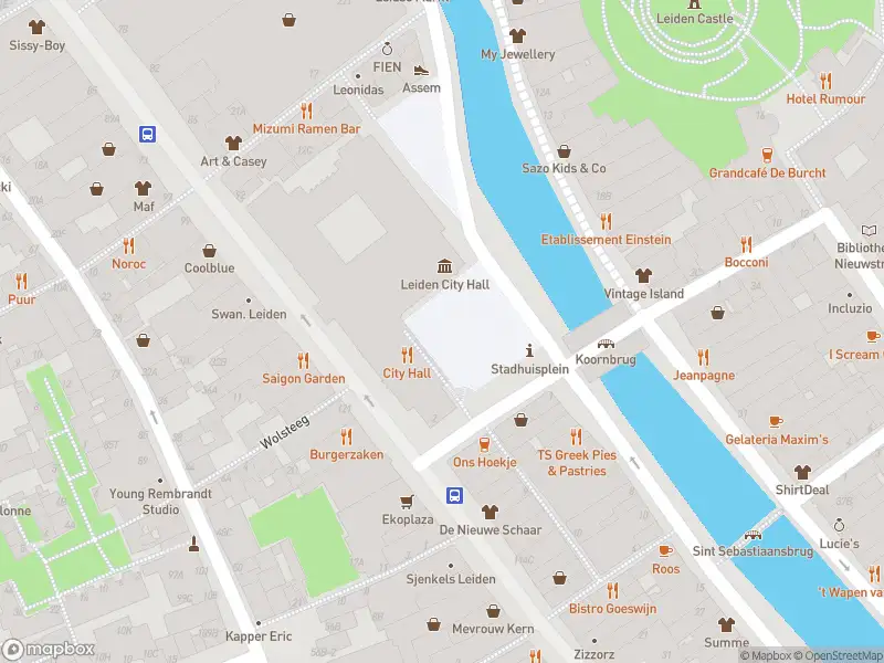 Ambulance met gepaste spoed naar de Stadhuisplein in Leiden