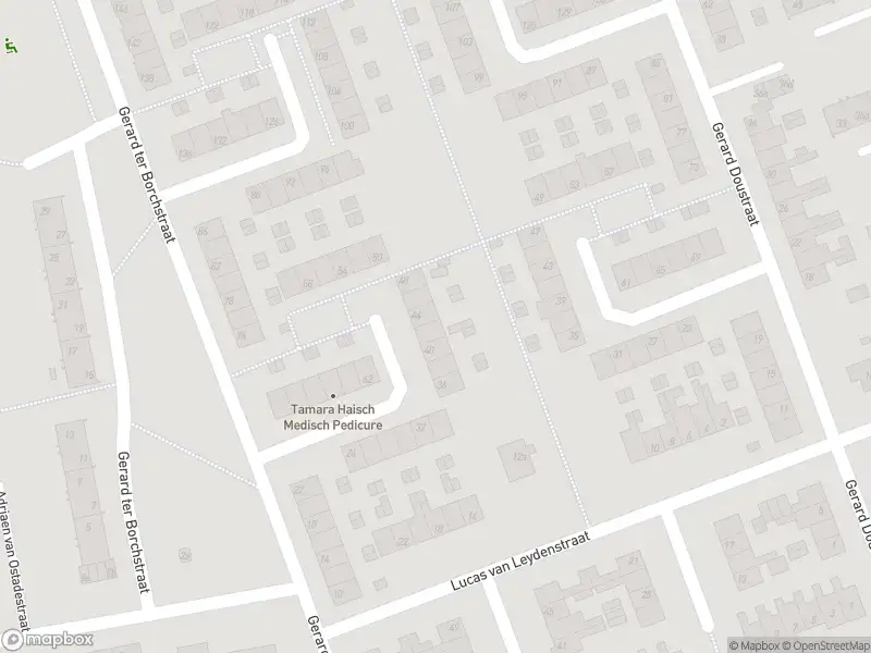 Politie met grote spoed naar de Gerard ter Borchstraat in Roosendaal vanwege letsel