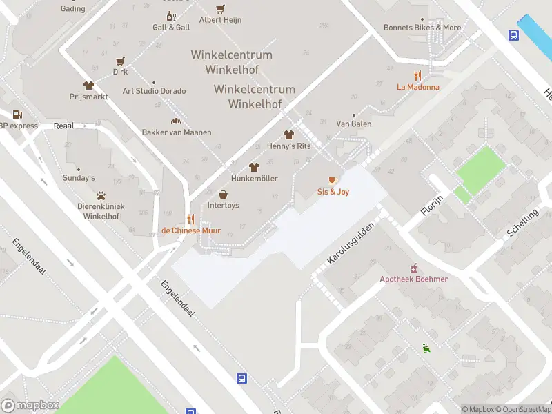 Ambulance met grote spoed naar de Statendaalder in Leiderdorp