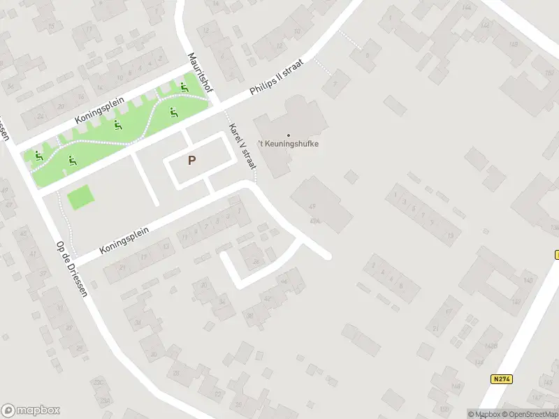 Overlastmelding Karel V straat in Koningsbosch