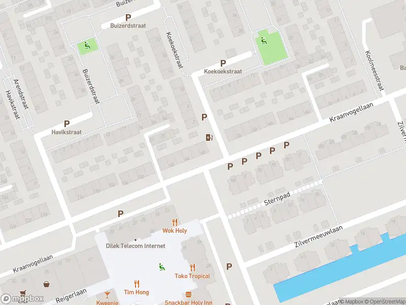 Ambulance met grote spoed naar de Kraanvogellaan in Vlaardingen