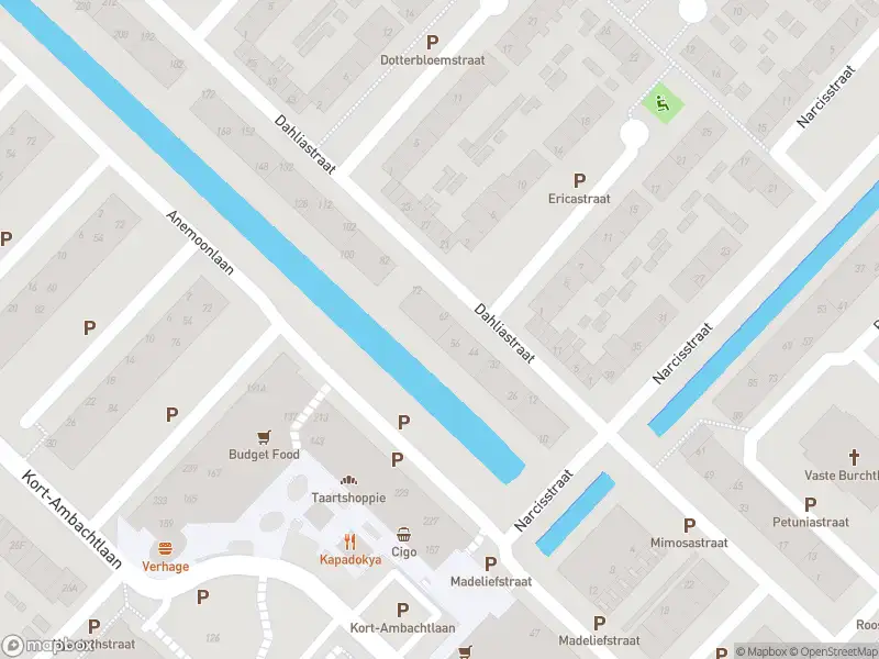 Overlastmelding Dahliastraat in Zwijndrecht