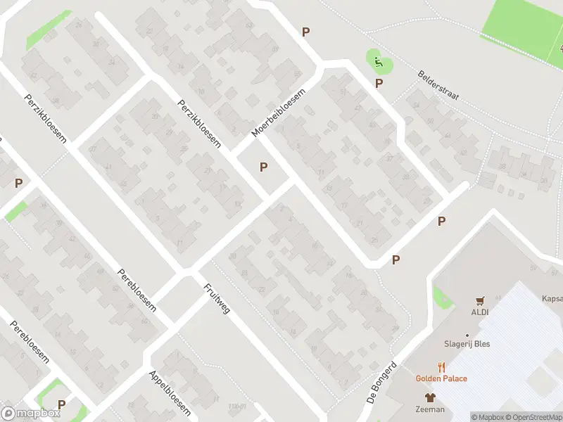 Overlastmelding Moerbeibloesem in Doetinchem