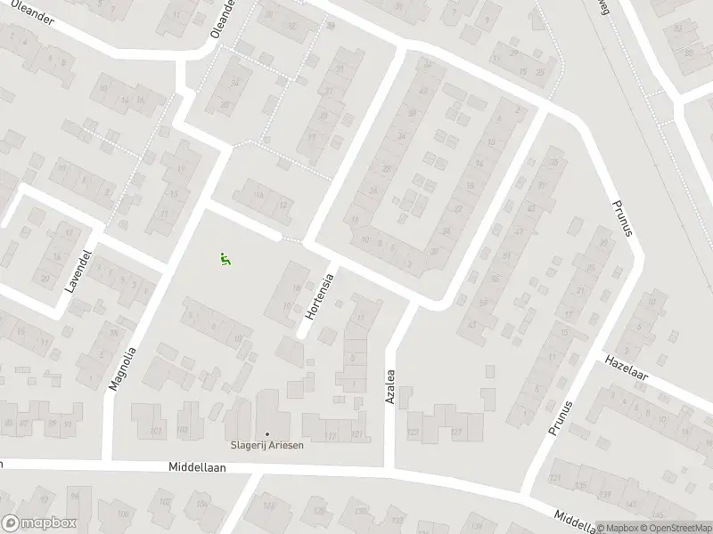 Brandweer met grote spoed naar de Azalea in Veenendaal vanwege reanimatie