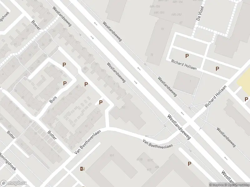 Overlastmelding Drijver in Maassluis