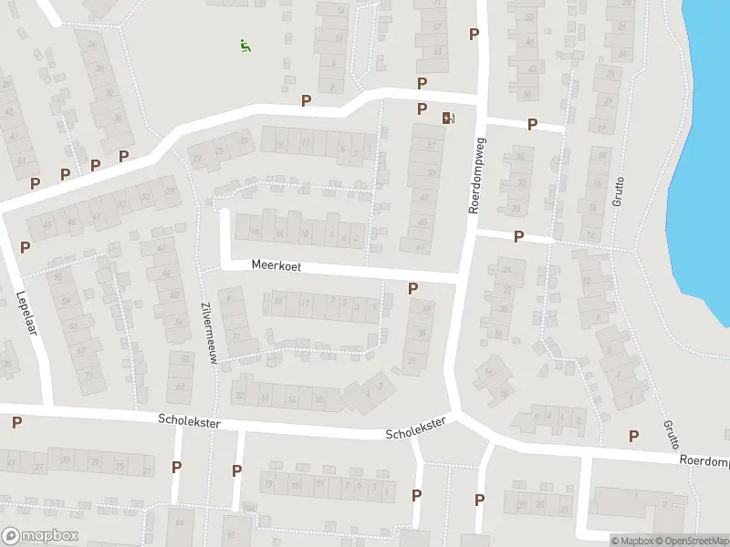 Overlastmelding Meerkoet in Oud-Beijerland gesloten