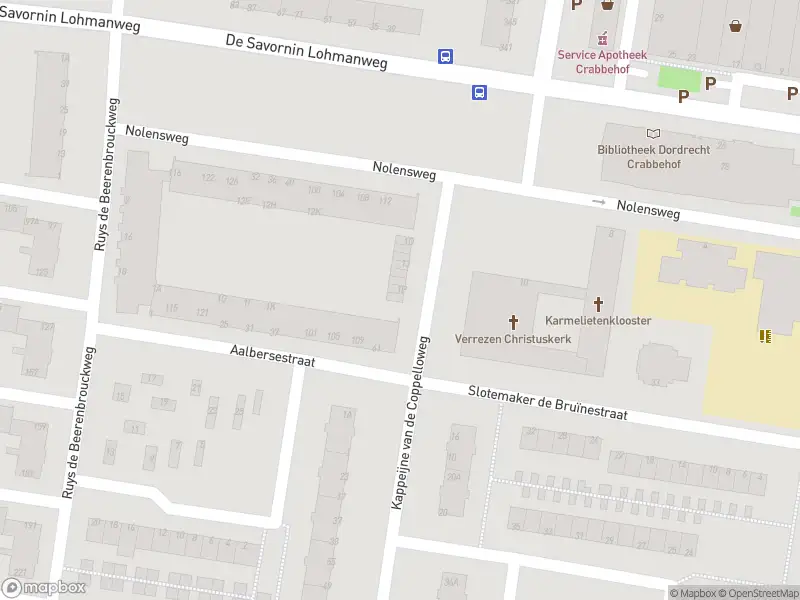 Ambulance met grote spoed naar de Kappeijne van de Coppelloweg in Dordrecht