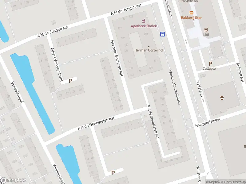 Ambulance met grote spoed naar de Herman Gorterstraat in Spijkenisse