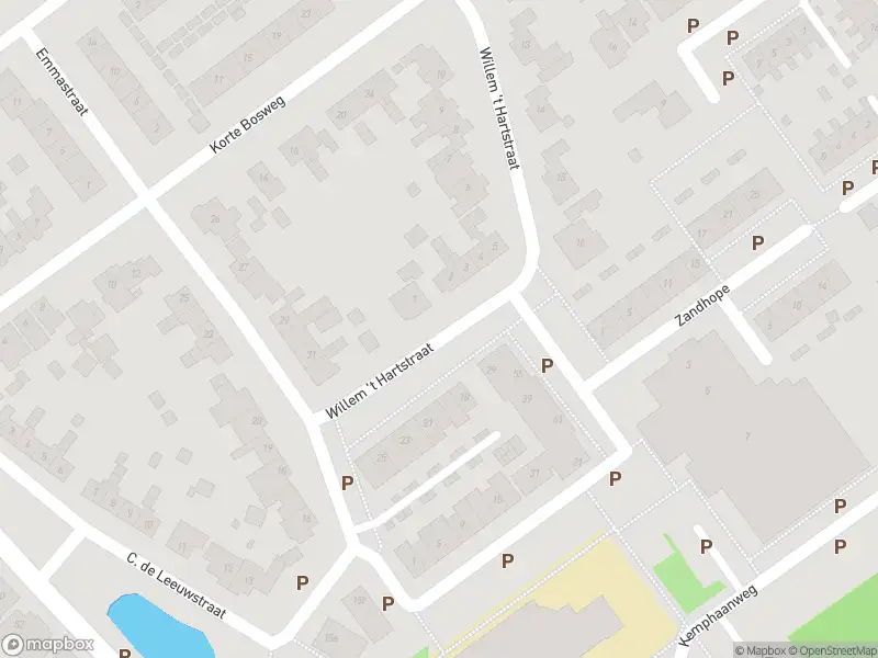 Overlastmelding Willem 't Hartstraat in 't Zand